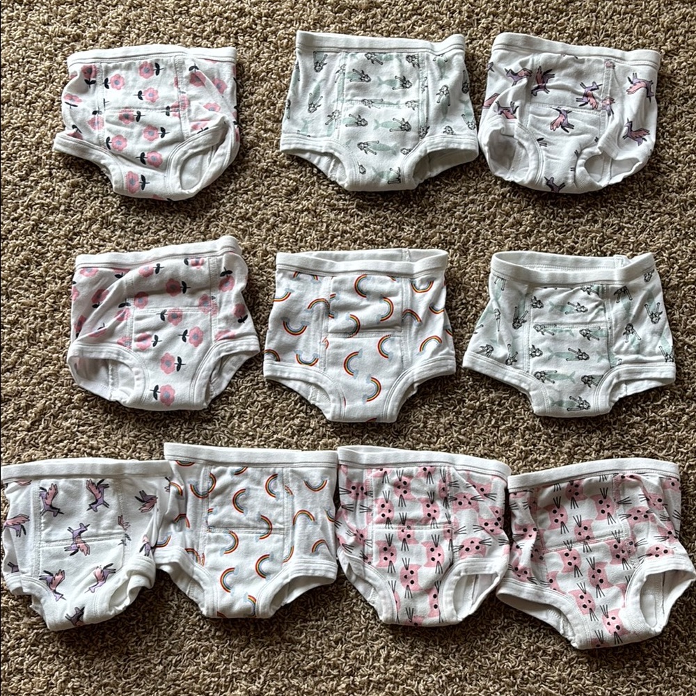 Ten pairs Hanna Andersson girls organic cotton potty training underwear.